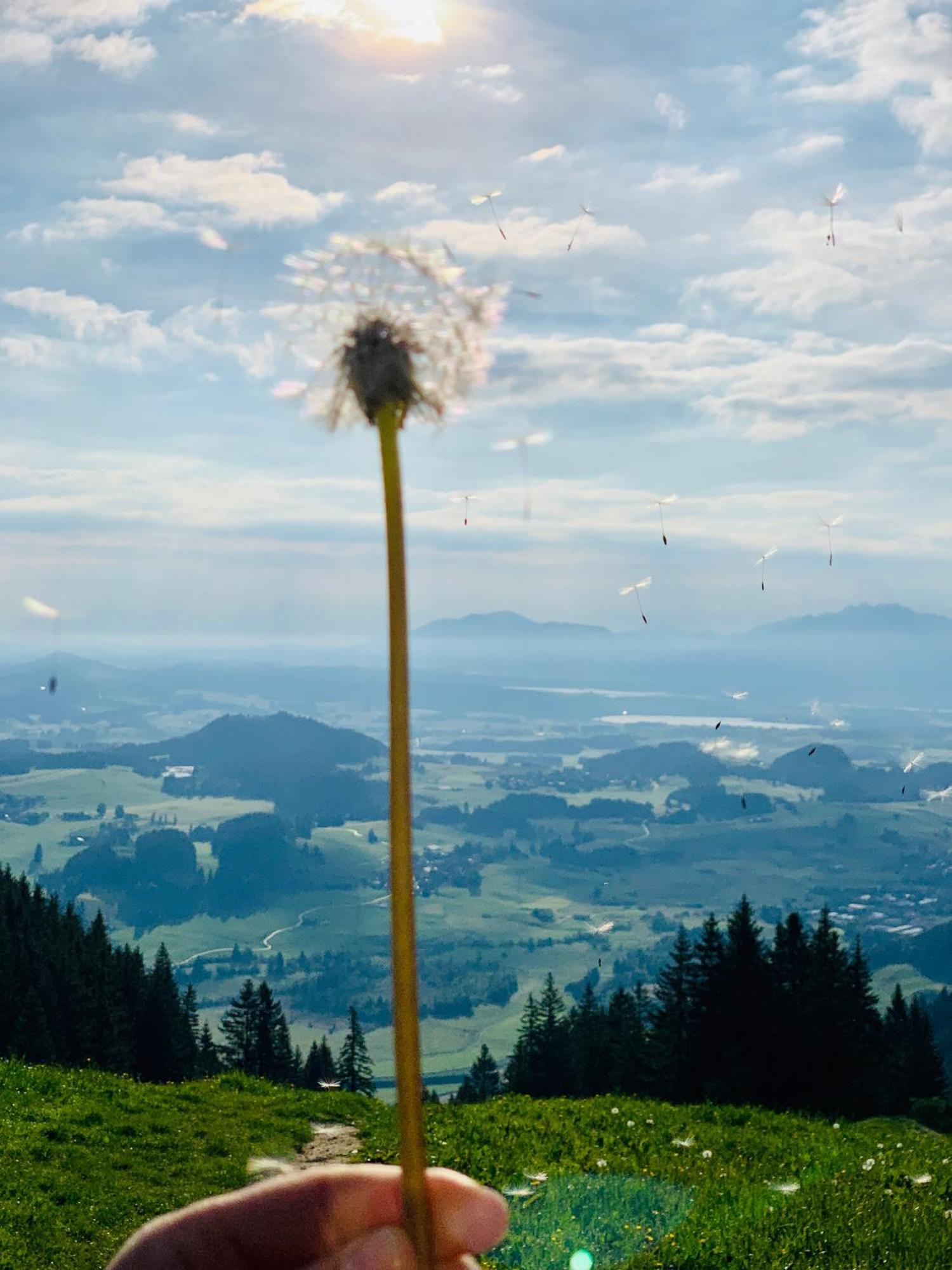 Ferienhaus Sommer Pfronten Bagian luar foto