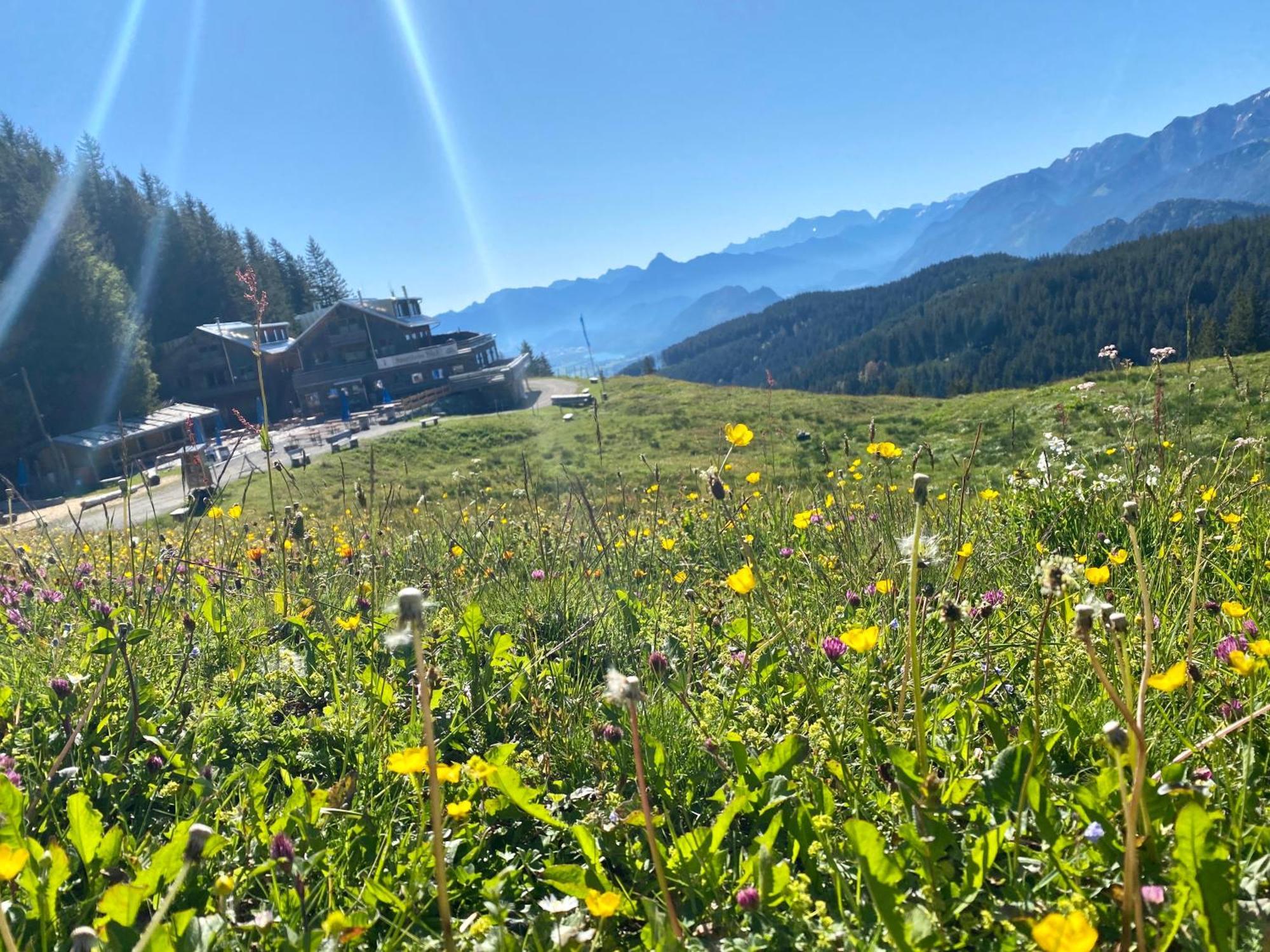 Ferienhaus Sommer Pfronten Bagian luar foto